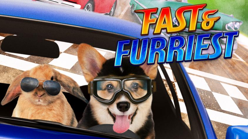 Fast and Furriest