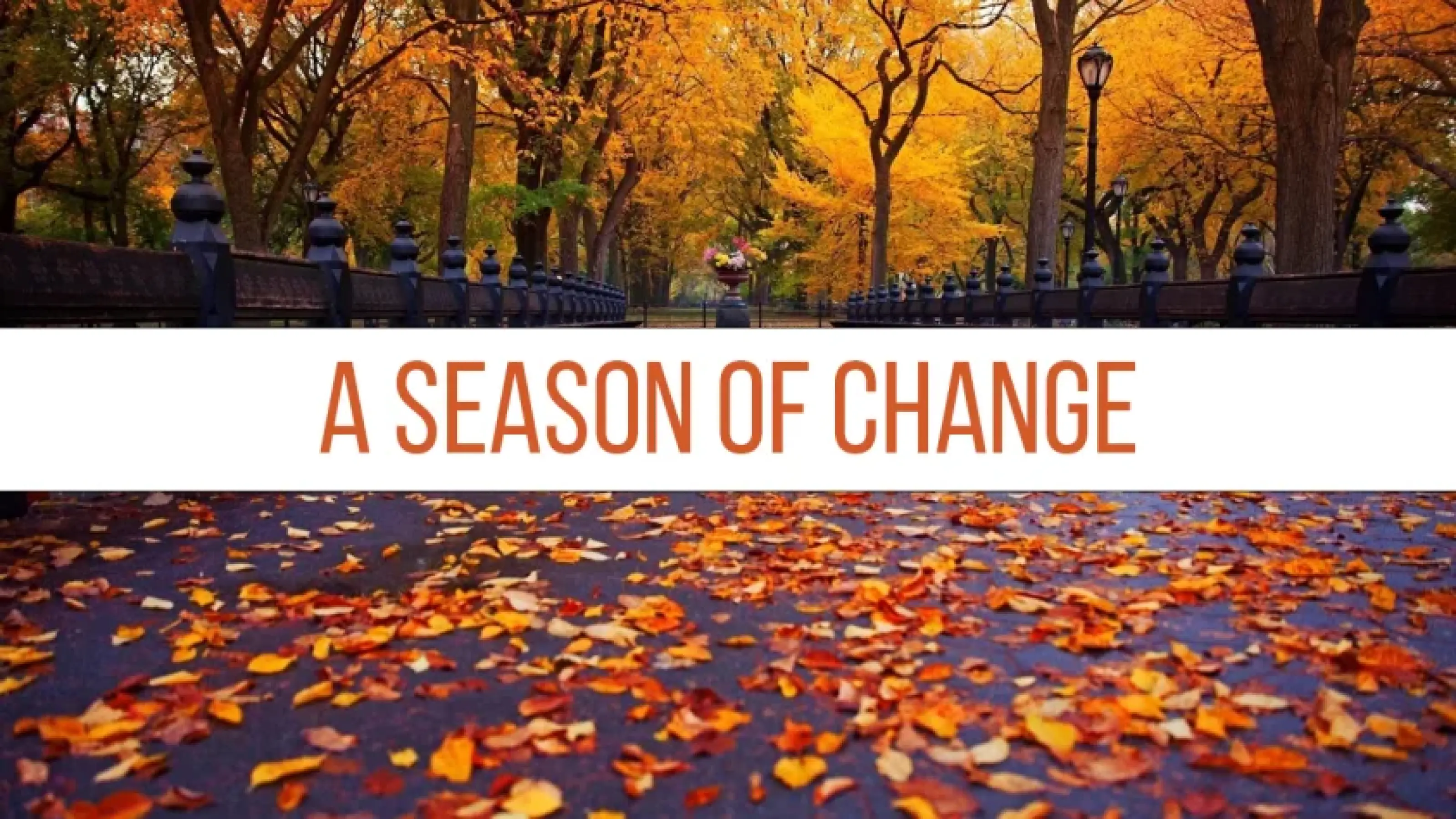 A Season of Change