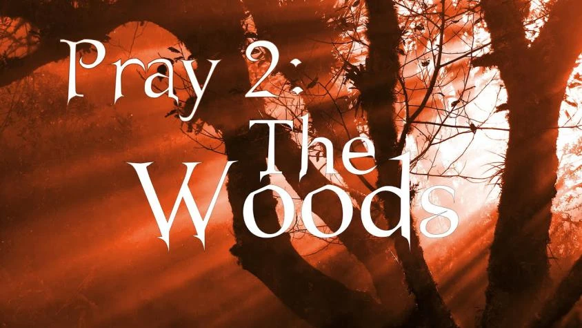 Pray 2: The Woods