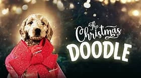 The Christmas Doodle