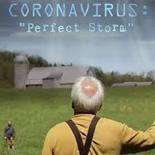 Coronavirus: Perfect Storm