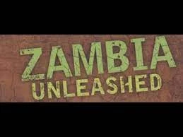 Stevie's Trek: Zambia Unleashed