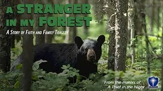 A Stranger In My Forest
