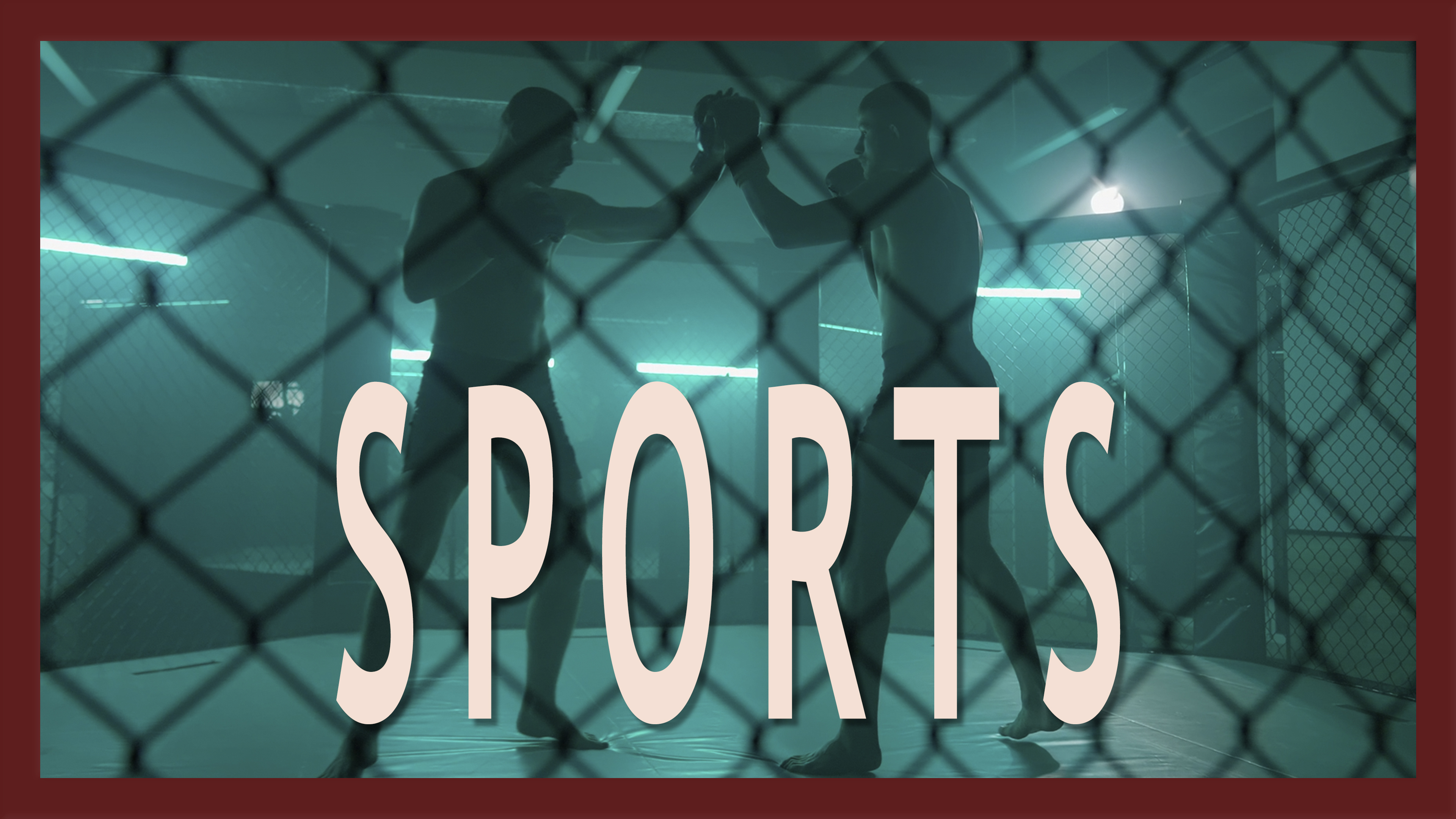 Sport