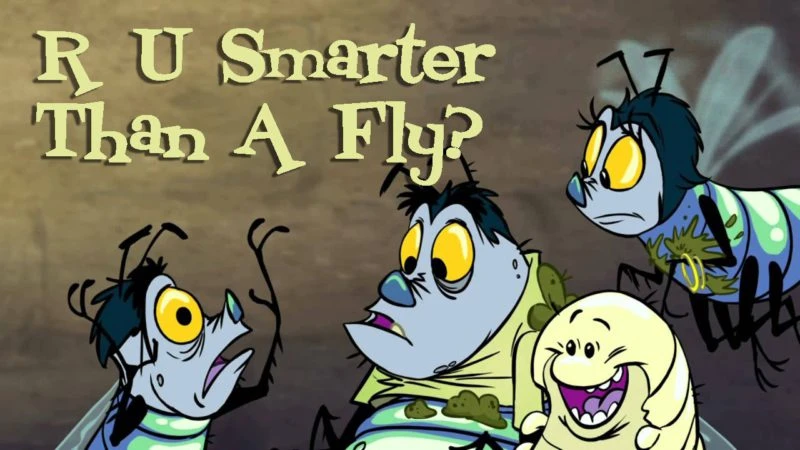 R U Smarter Than A Fly?