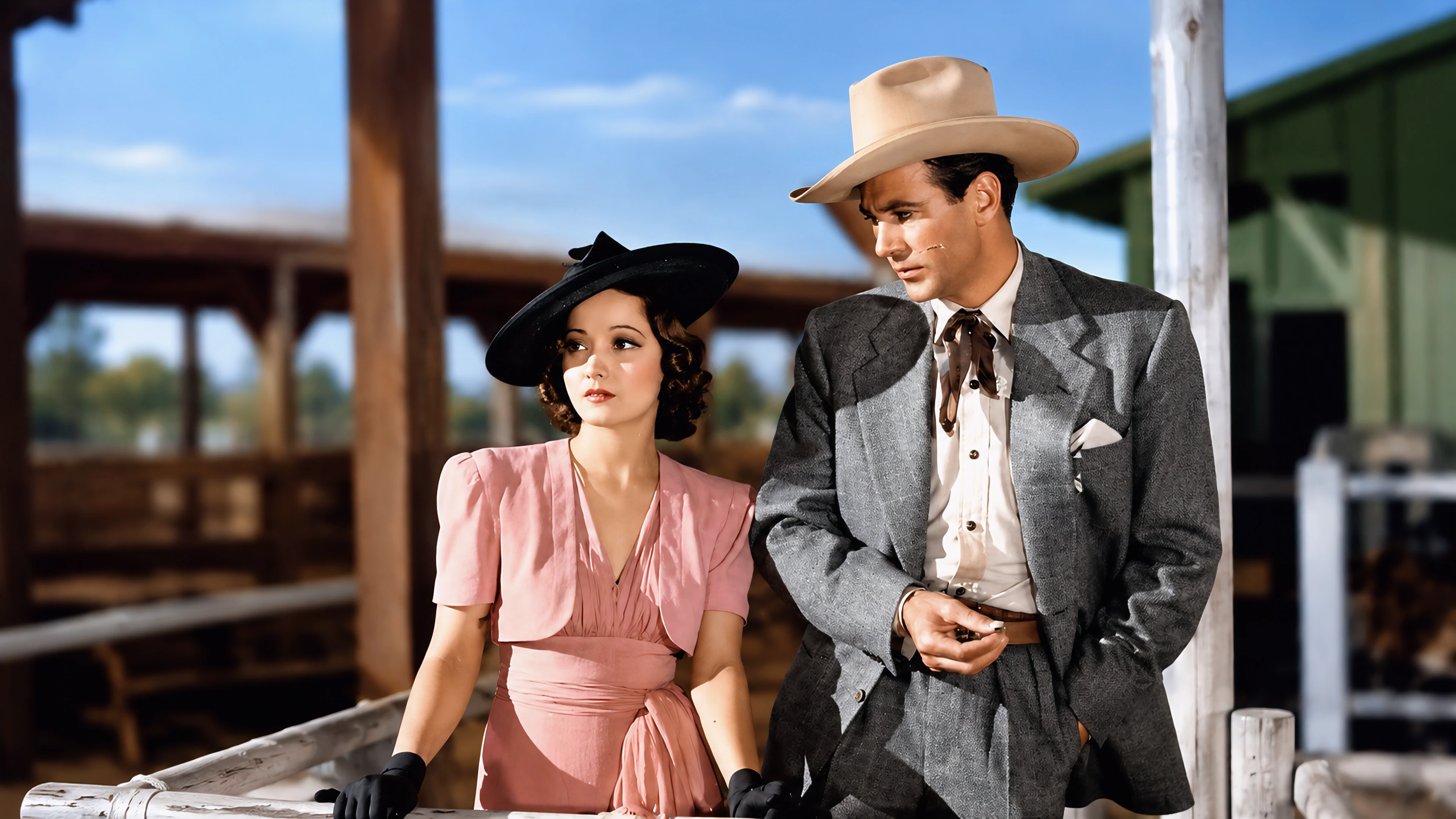 The Cowboy and The Lady