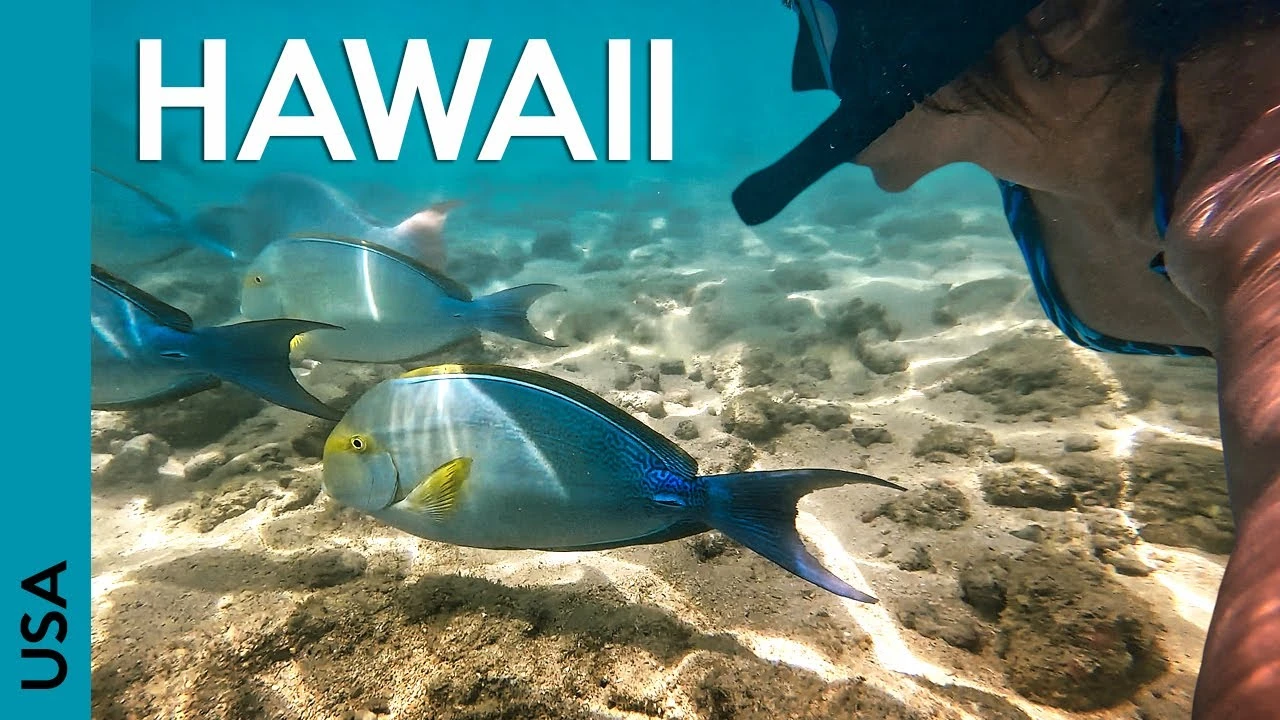 HAWAII BEACHES: Amazing Hanauma Bay, Lanikai and Kailua