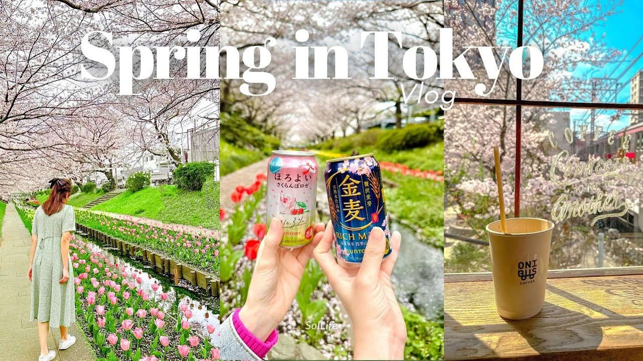 Sping in Tokyo 🌸 | Naka-meguro cherry blossom festival, hanami, spring cafe hopping