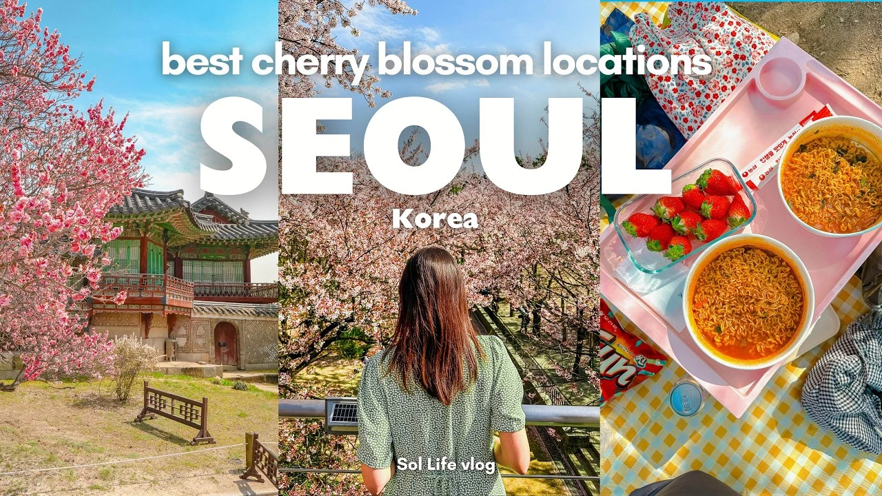 TOP 10 Best Cherry Blossom Spots in Seoul 🌸