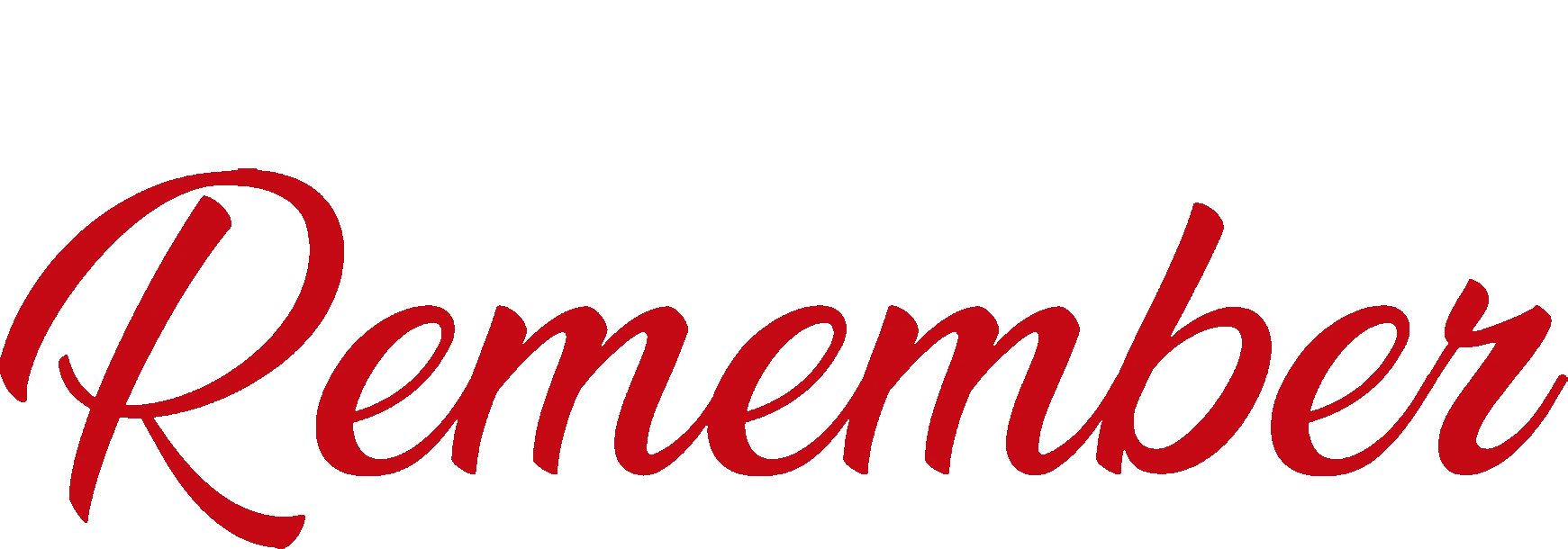 Holiday to Remember