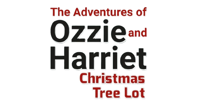 The Adventures of Ozzie and Harriet - Christmas Tree Lot