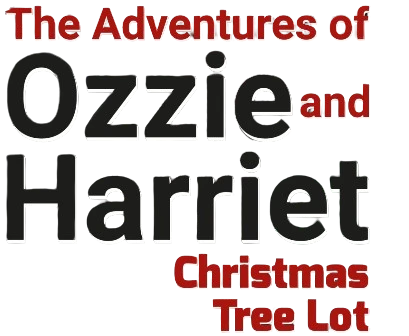 The Adventures of Ozzie and Harriet - Christmas Tree Lot